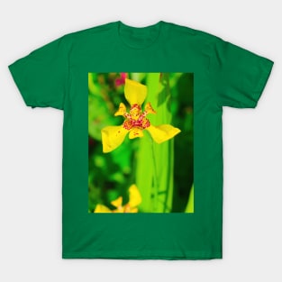 Yellow red lily blossom on green background T-Shirt